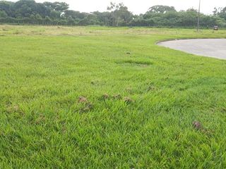 Foto 12 de Lote en condominio ubicado en la Zona Franca, con 22.984 M2