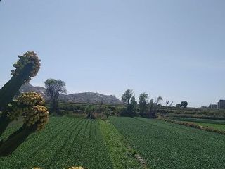 Foto 7 de Vendo Local Comercial Arequipa-Arancota- Sachaca