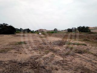 Foto 7 de GRAN OPORTUNIDAD: SE VENDE TERRENO AGRÍCOLA DE 4,700 m²A MITAD DE PRECIO