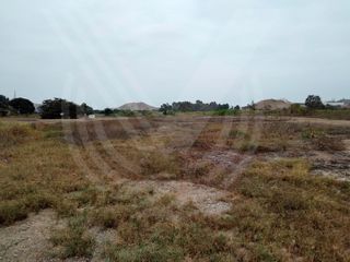 Foto 6 de GRAN OPORTUNIDAD: SE VENDE TERRENO AGRÍCOLA DE 4,700 m²A MITAD DE PRECIO