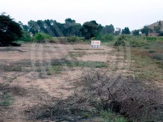Foto 3 de GRAN OPORTUNIDAD: SE VENDE TERRENO AGRÍCOLA DE 4,700 m²A MITAD DE PRECIO