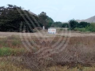 Foto 2 de GRAN OPORTUNIDAD: SE VENDE TERRENO AGRÍCOLA DE 4,700 m²A MITAD DE PRECIO