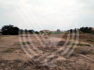 Foto 8 de GRAN OPORTUNIDAD: SE VENDE TERRENO AGRÍCOLA DE 4,700 m²A MITAD DE PRECIO