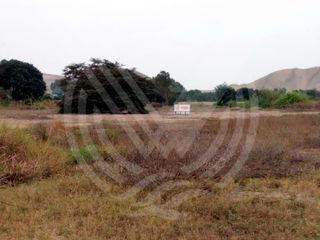 Foto 5 de GRAN OPORTUNIDAD: SE VENDE TERRENO AGRÍCOLA DE 4,700 m²A MITAD DE PRECIO