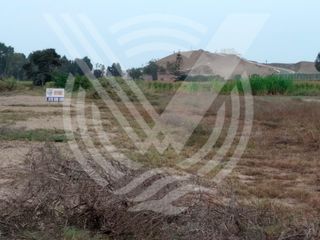 Foto 4 de GRAN OPORTUNIDAD: SE VENDE TERRENO AGRÍCOLA DE 4,700 m²A MITAD DE PRECIO