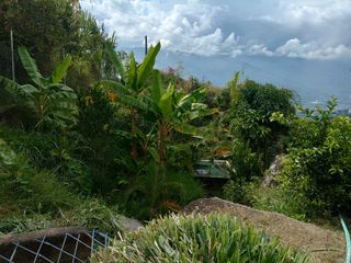 Te vendo esta hermosa casa finca, con escritura proindiviso (35.9%), bien barata, entre Hatillo y Girardota.