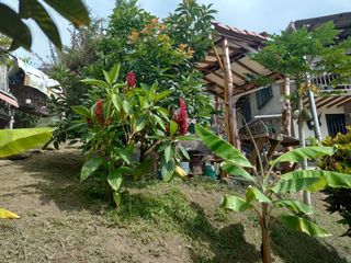 Te vendo esta hermosa casa finca, con escritura proindiviso (35.9%), bien barata, entre Hatillo y Girardota.