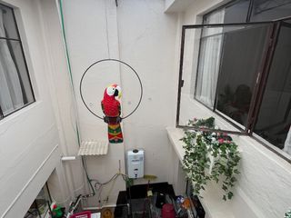 Foto 21 de DE VENTA CASA BONITA, Sector Otorongo C1336