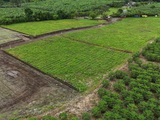 lote campestre No.2 parasiempre tebaida Quindio