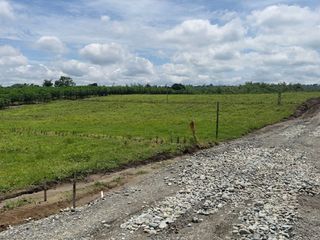 lote campestre No.2 parasiempre tebaida Quindio