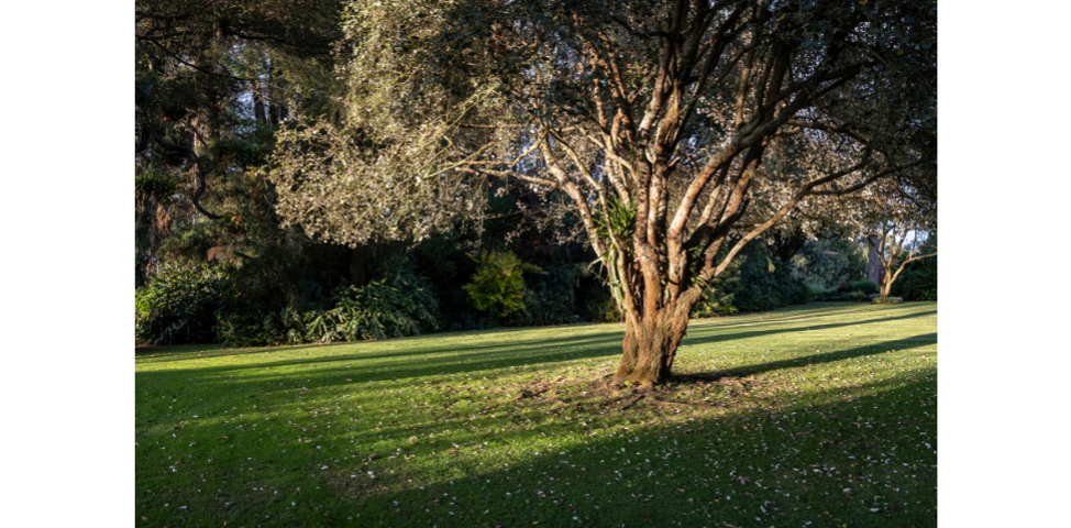 place photo 44