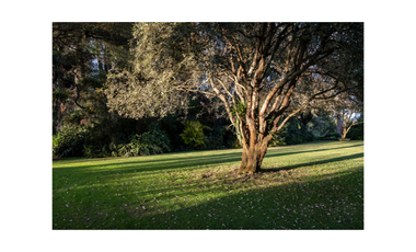 place photo 44